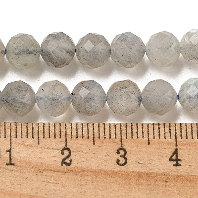 Natural Labradorite Beads Strands G-G140-A21-09A-1