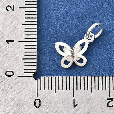 925 Sterling Silver Charms STER-F059-01S-1
