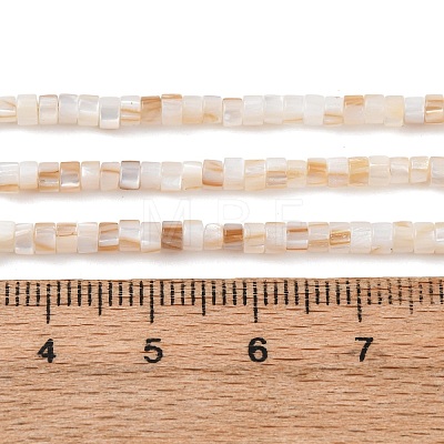 Natural Freshwater Shell Beads Strands SHEL-K006-72A-1