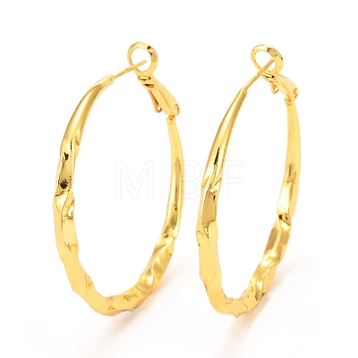 Brass Hoop Earrings EJEW-F273-03G-1