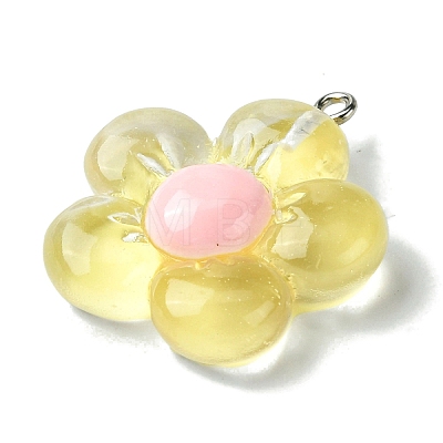 Translucent Resin Pendants RESI-P039-01P-1