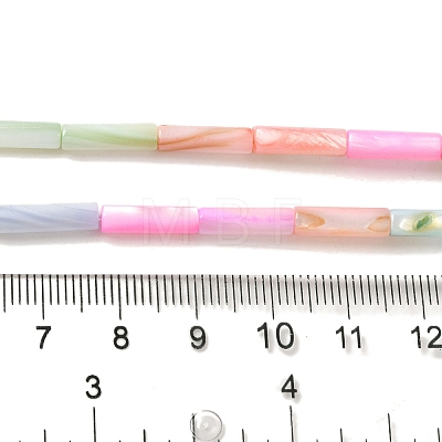 Rainbow Color Dyed Natural Freshwater Shell Beads Strands X1-SHEL-G018-02B-1