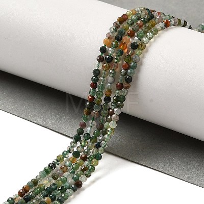 Natural Indian Agate Beads Strands G-J002-03K-1