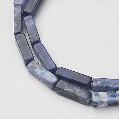 Natural Sodalite Beads Strands G-G968-D02-1