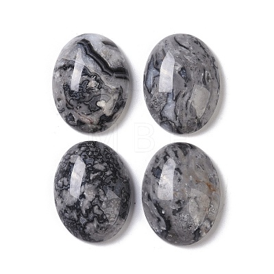 Natural Map Stone Cabochons G-B080-01A-09-1