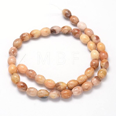 Oval Natural Agate Beads Strands G-P106-08-1