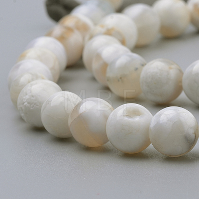Natural Weathered Agate Beads Strands X-G-S249-09-8mm-1