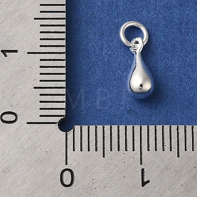925 Sterling Silver Charms LS-STER-M120-01C-S-1