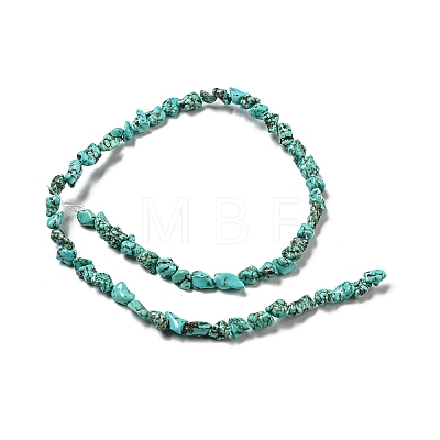 Dyed Natural Howlite Beads Strands G-G075-E03-01-1