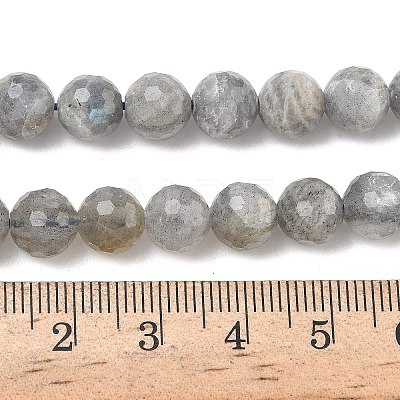 Natural Labradorite Beads Strands G-L642-F07-8mm-1