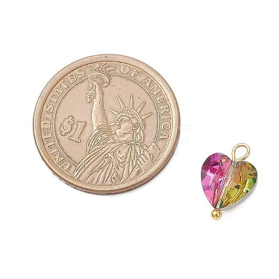 Transparent Glass Charms PALLOY-JF04198-01-1