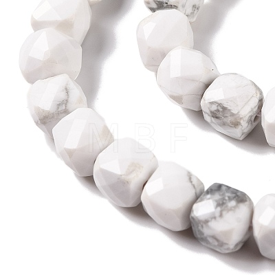 Natural Howlite Beads Strands G-G001-B03-06-1