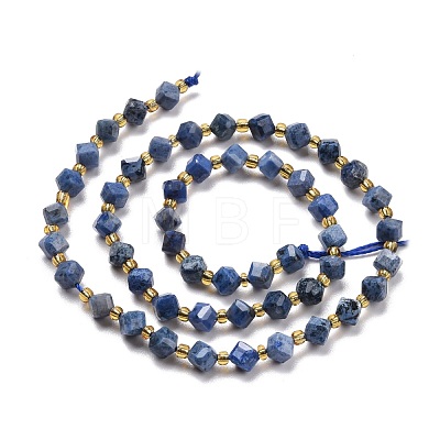 Natural Dumortierite Beads Strands G-P463-28-1