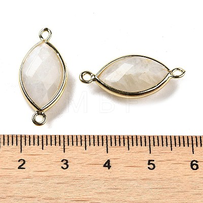 Natural Moonstone Faceted Connector Charms G-K347-03G-02-1