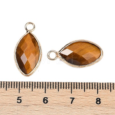 Natural Tiger Eye Faceted Pendants G-G193-01G-03-1