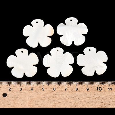 Shell Pendants X-PBB180Y-1