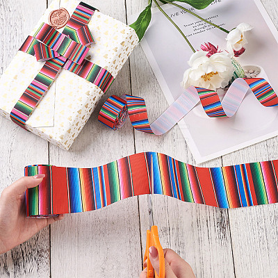 2 Rolls 2 Styles Stripe Pattern Printed Polyester Grosgrain Ribbon OCOR-TA0001-37B-1