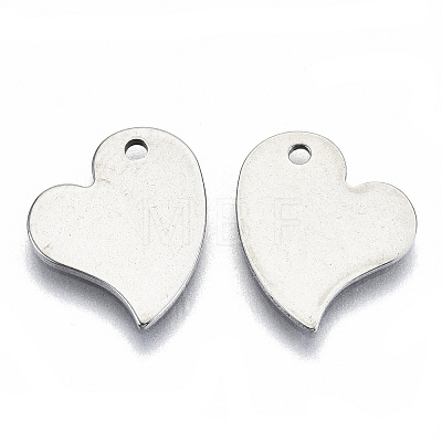 201 Stainless Steel Charms STAS-R116-014-1