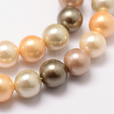 Shell Pearl Bead Strands BSHE-L017-12-1