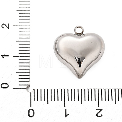 304 Stainless Steel Pendants STAS-Q349-02F-P-1