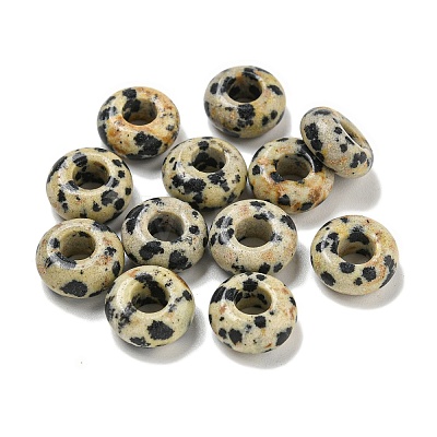 Natural Dalmatian Jasper Beads X-G-Q173-03A-24-1