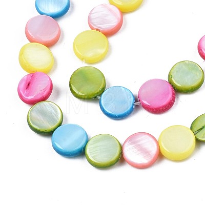 Freshwater Shell Beads Strands SHEL-T009-B16-06-1