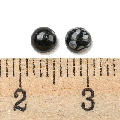 Synthetic Snowflake Obsidian Cabochons G-H309-03-04-1