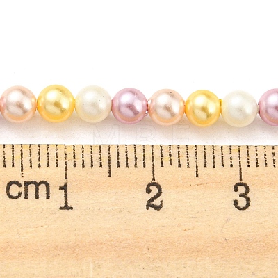 Electroplated Natural Shell Beads Strands SHEL-F008-03A-05-1