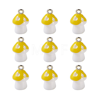 Plastic Pendants KY-TA0001-15B-1