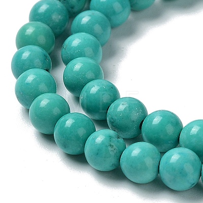 Natural Howlite Beads Strands G-E604-B01-1
