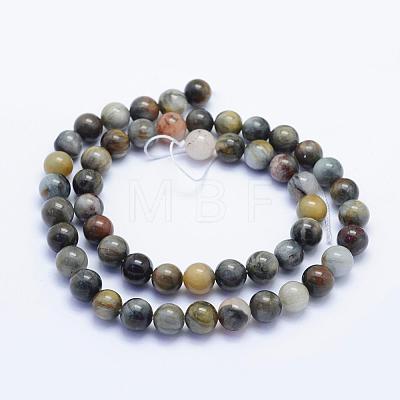 Natura Hawk's Eye Beads Strands G-D0001-22C-6mm-1