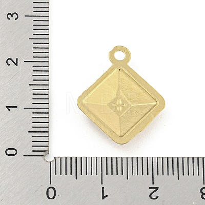 Ion Plating(IP) 304 Stainless Steel Pendants STAS-I307-570G-1