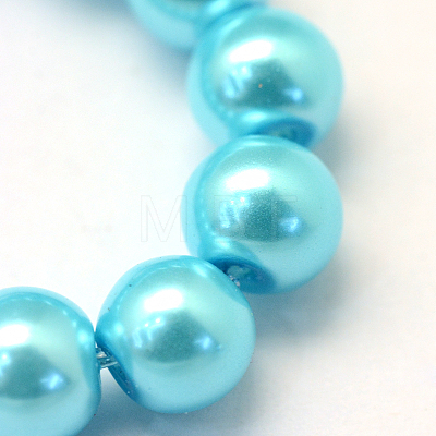 Baking Paint Pearlized Glass Pearl Round Bead Strands HY-Q003-14mm-48-1