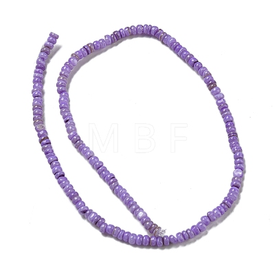 Dyed Natural Freshwater Shell Beads Strands BSHE-G039-07B-1