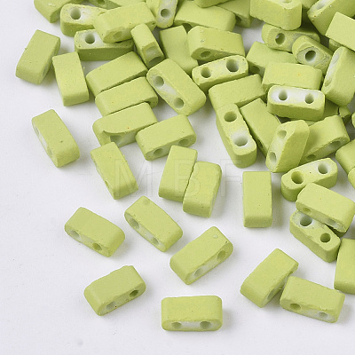 2-Hole Glass Seed Beads SEED-S023-31B-06-1