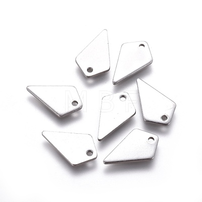 304 Stainless Steel Charms X-STAS-E474-13-1
