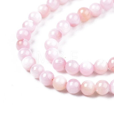 Natural Freshwater Shell Beads Strands BSHE-T009A-01C-1