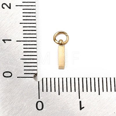 304 Stainless Steel Charms SA-CBABF3F-01G-I-1