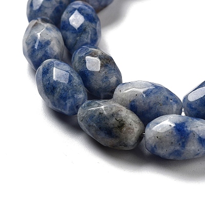 Natural Blue Spot Jasper Beads Strands G-P520-C05-01-1
