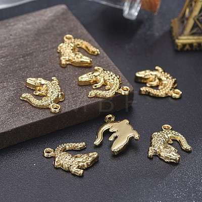 Alloy Pendants TIBEP-A040-015G-NR-1