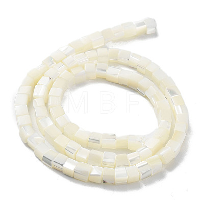 Natural Trochus Shell Beads Strands SHEL-M020-01-1