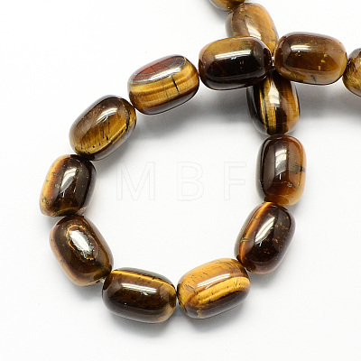 Barrel Shaped Gemstone Natural Tiger Eye Stone Beads Strands G-S114-30-1