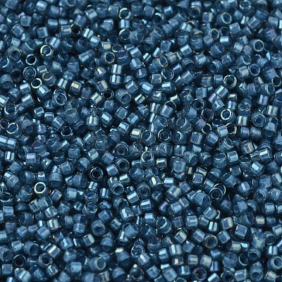 MIYUKI Delica Beads X-SEED-J020-DB2384-1