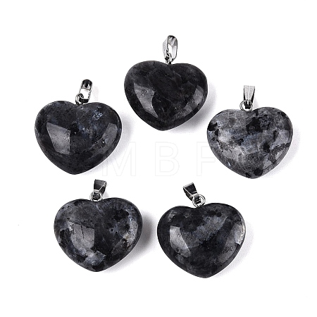 Natural Larvikite Pendants G-N362-05P-05-1