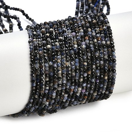 Natural Sapphire Beads Strands X-G-P553-G07-01-1