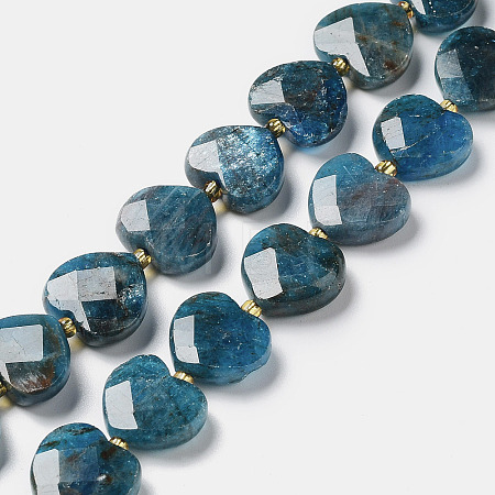 Natural Apatite Beads Strands G-B044-B06-01-1