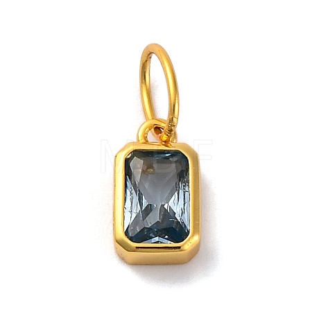 925 Sterling Silver Cubic Zirconia Charms STER-NH0014-01G-03-1