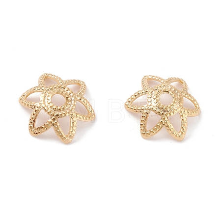 Brass 6-Petal Bead Caps KK-K253-20G-1