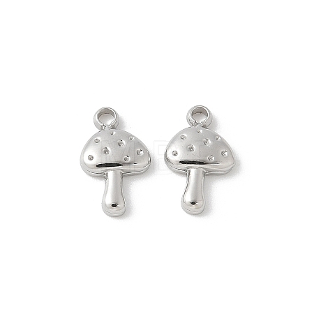 304 Stainless Steel Charms STAS-Z122-30P-1
