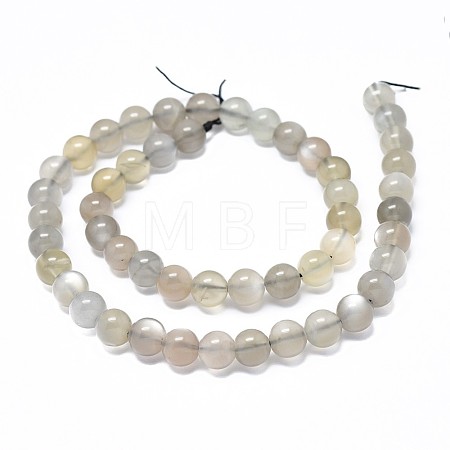 Natural Grey Moonstone Beads Strands G-F632-24-03-1